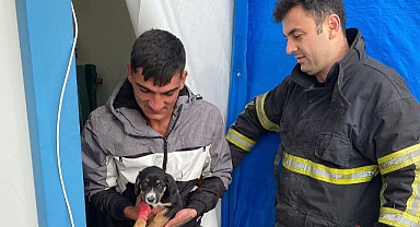 İskenderun'da konteynere sıkışan köpek yavrusunu itfaiye çıkardı