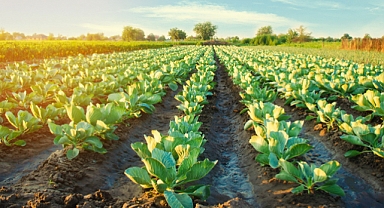 Lastik Güvenliği Zirai Faaliyetlerde Büyük Önem Taşır