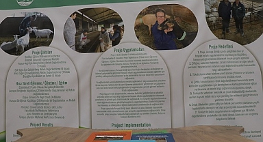 Hayvancılıkta verimi artıracak uygulamaları anlatan eğitici kitaplar hazırlandı