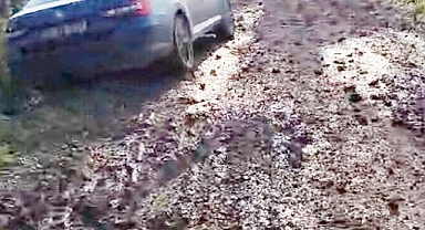 HATAY’IN ÇİLESİ ARTIK BİTMELİ