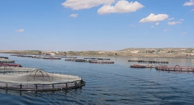 HATAYLILAR DENİZDE YAPAMAZKEN URFALILAR GÖLDE GERÇEKLEŞTİRDİ
