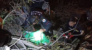 Sulama kanalına düşen otomobilin sürücüsü yaralandı