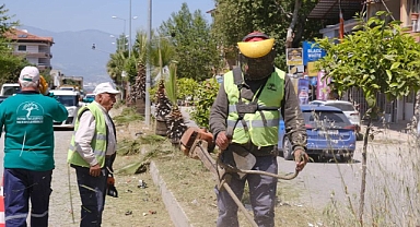 Defne İçin Kollarımızı Sıvadık