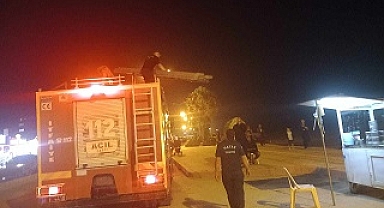 Hatay'da ağaçta mahsur kalan kedi kurtarıldı