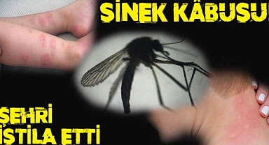 HATAY’DA SESSİZ İSTİLA BAŞLADI