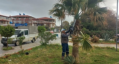 Mekanlara Taze Bir Görünüm Kazandırıyor