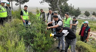 Pratik Deneyim Kazanma Fırsatı Buldular