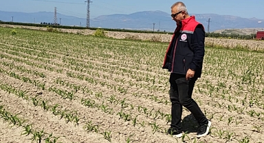 Tarım Müdürü Türkmen, Mısır Arazi Kontrollerine Katıldı