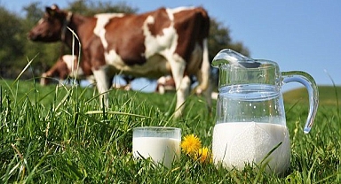 Türkiye'de Süt ve Süt Ürünleri Üretimi Artıyor