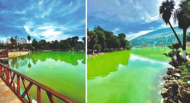 Yenişehir Gölü, Bölge Sakinlerinin Beğenisini Topluyor