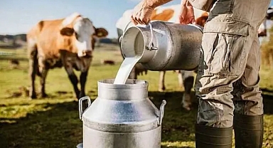 2023'te 21,5 Milyon Ton Çiğ Süt Üretildi