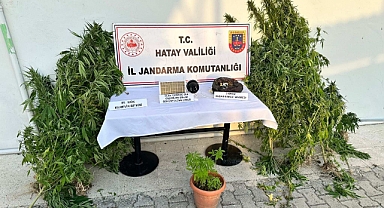 26 Şüpheli Yakalandı