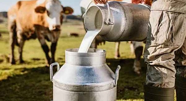 982 Bin 322 Ton İnek Sütü Toplandı