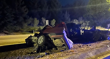 Ağaca ve direğe çarpan otomobilin sürücüsü yaralandı