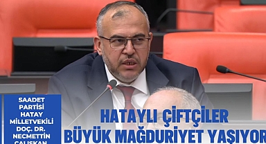 Çalışkan: Amik Ovası Millî Servettir