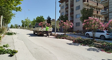HBB’den Refüjlerde Kapsamlı Çalışma