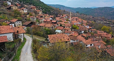 ORMANSIZ ŞEHİRLER DAHA SICAK OLUYOR