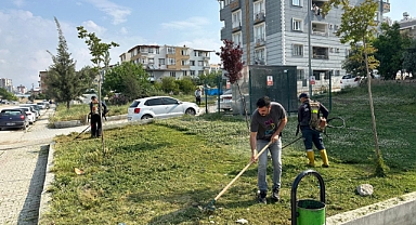Park Ve Yeşil Alanlar Güzelleşiyor