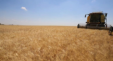 2024 Hububat Alım Fiyatları Belirlendi