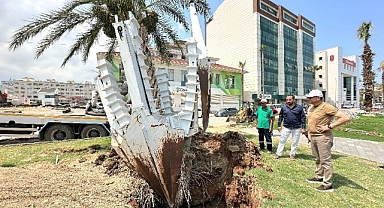 Ağaçları Kesmiyoruz, Yaşatıyoruz