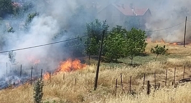Anız yangınında meyve ağaçları zarar gördü