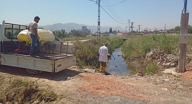 Antakya Belediyesi Ekipleri, İlaçlama Çalışmalarına Destek Verdi