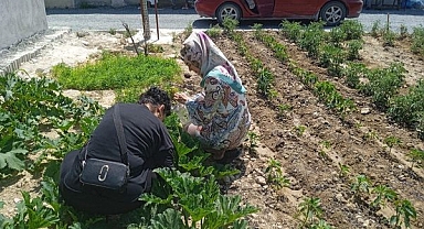 Antakya Tarım Orman İlçe Müdürlüğü'nden Üreticilere Büyük Destek
