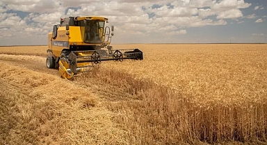 Çiftçiler, Buğday Fiyatlarına Çok Tepki Gösteriyor