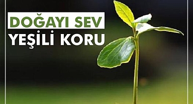 Doğayı Sev, Yeşili Koru