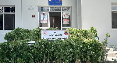 Hatay'da evinde uyuşturucu bulunan şüpheli gözaltına alındı