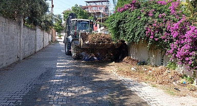 Her Şey Defne İçin