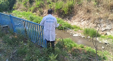 İlaçlama Çalışmaları Devam Ediyor