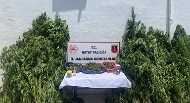 Jandarma Ekiplerinden Kaçakçılıkla Mücadelede Büyük Başarı