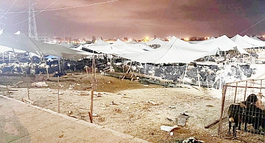 Otomobilin hayvan pazarına girmesi sonucu 8 kişi yaralandı