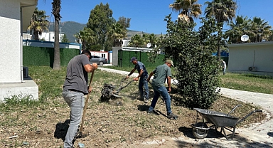 Park Bahçe Müdürlüğü Ekipleri MKÜ’de Çalışmalarını Sürdürüyor