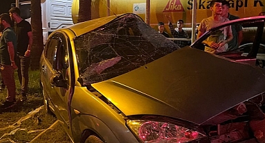 Refüjdeki ağaca çarpan otomobilin sürücüsü yaralandı
