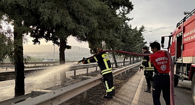 Refüjdeki ağaçlarda çıkan yangın söndürüldü