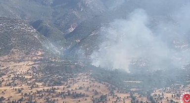 Teröristler, Ormanları Yakmaya Başladı