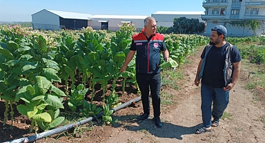 Türkmen, Tütün Üretim Süreci Hakkında Bilgi Aldı