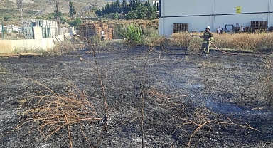 Arsuz'da otluk alanda çıkan yangın söndürüldü