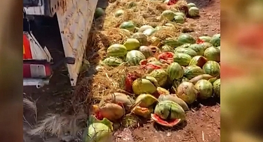 Çürük Karpuzları Yola Döken Kişiye Para Cezası Kesildi