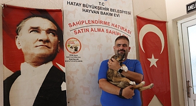 Haftada 400 Hayvanın Tedavisi Yapılıyor