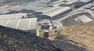 Hatay'da anız ve makilik alanda çıkan yangınlar söndürüldü