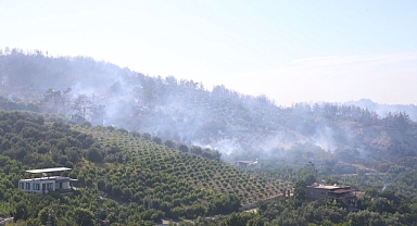 Hatay'da çıkan orman yangını kontrol altına alındı