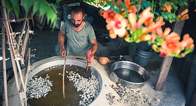 Hatay'da geleneksel yöntemlerle ipek böcekçiliği devam ediyor