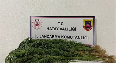 Jandarma’dan Uyuşturucu Operasyonu