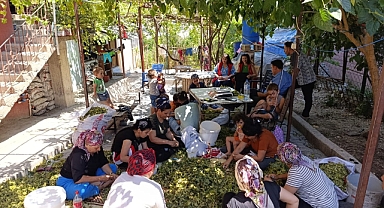 Kadına Şiddet ve Erken Yaşta Evliliklerle Mücadele Eğitimi Düzenlendi