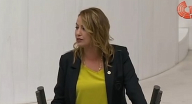 Kara, Hatay'ın Sorunlarını TBMM'de Konuştu