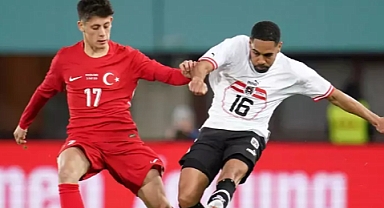 MİLLİLER VİYANA KAPISINDA