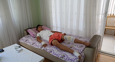 Sahipsiz Köpekten Kaçarken Yaralandı